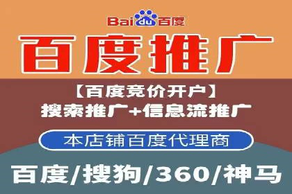 某企业SEM广告投放的ROI提升策略及效果展示